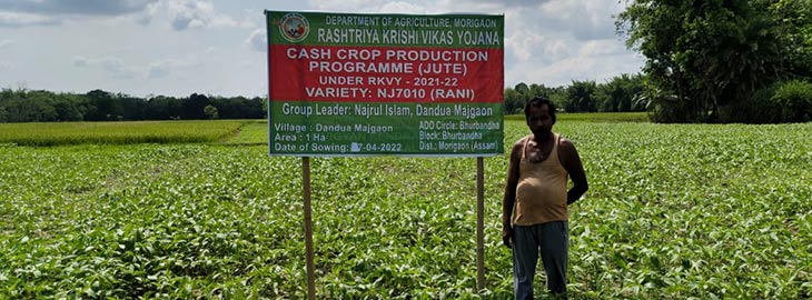 rkvy assam